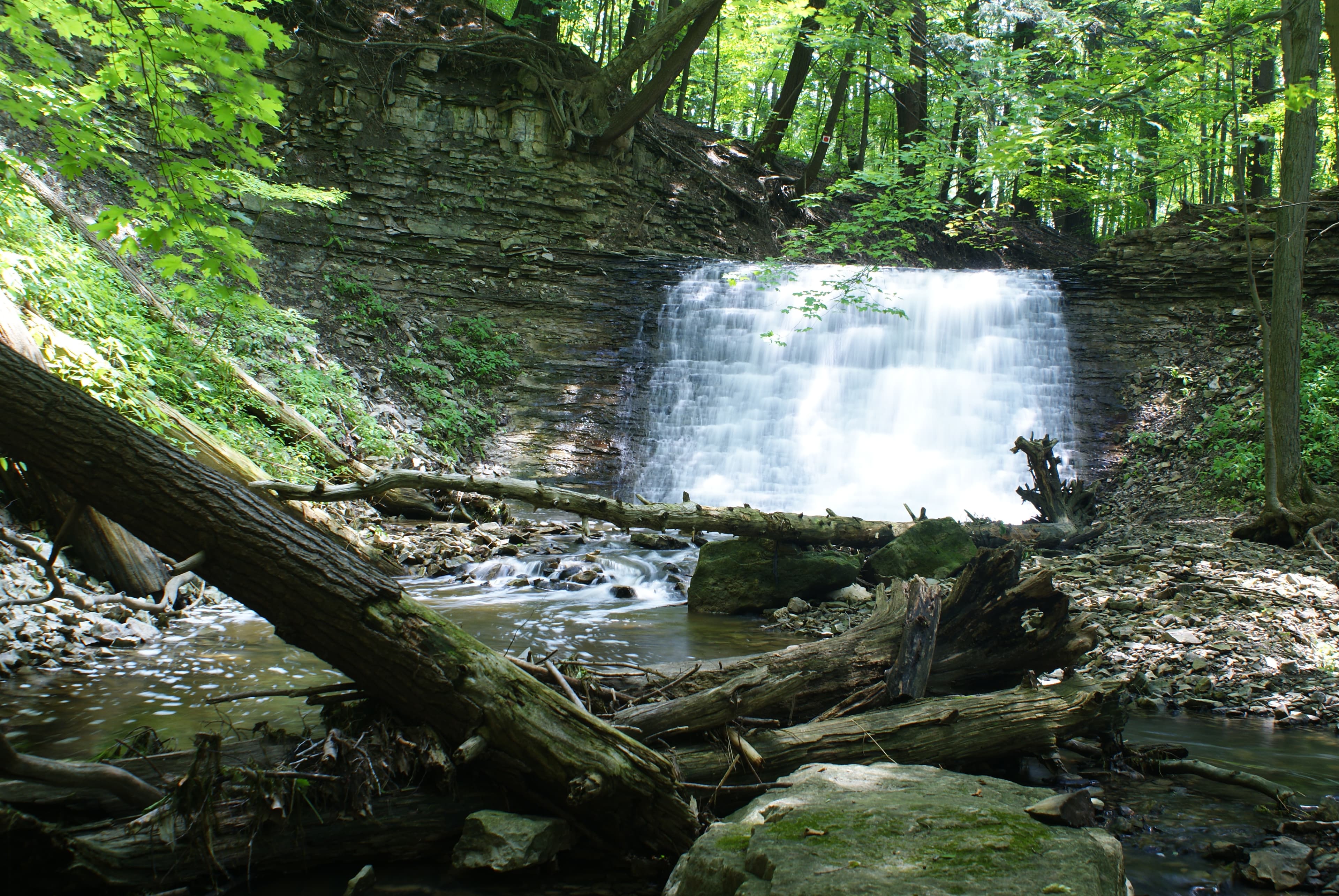 Ancaster community photo