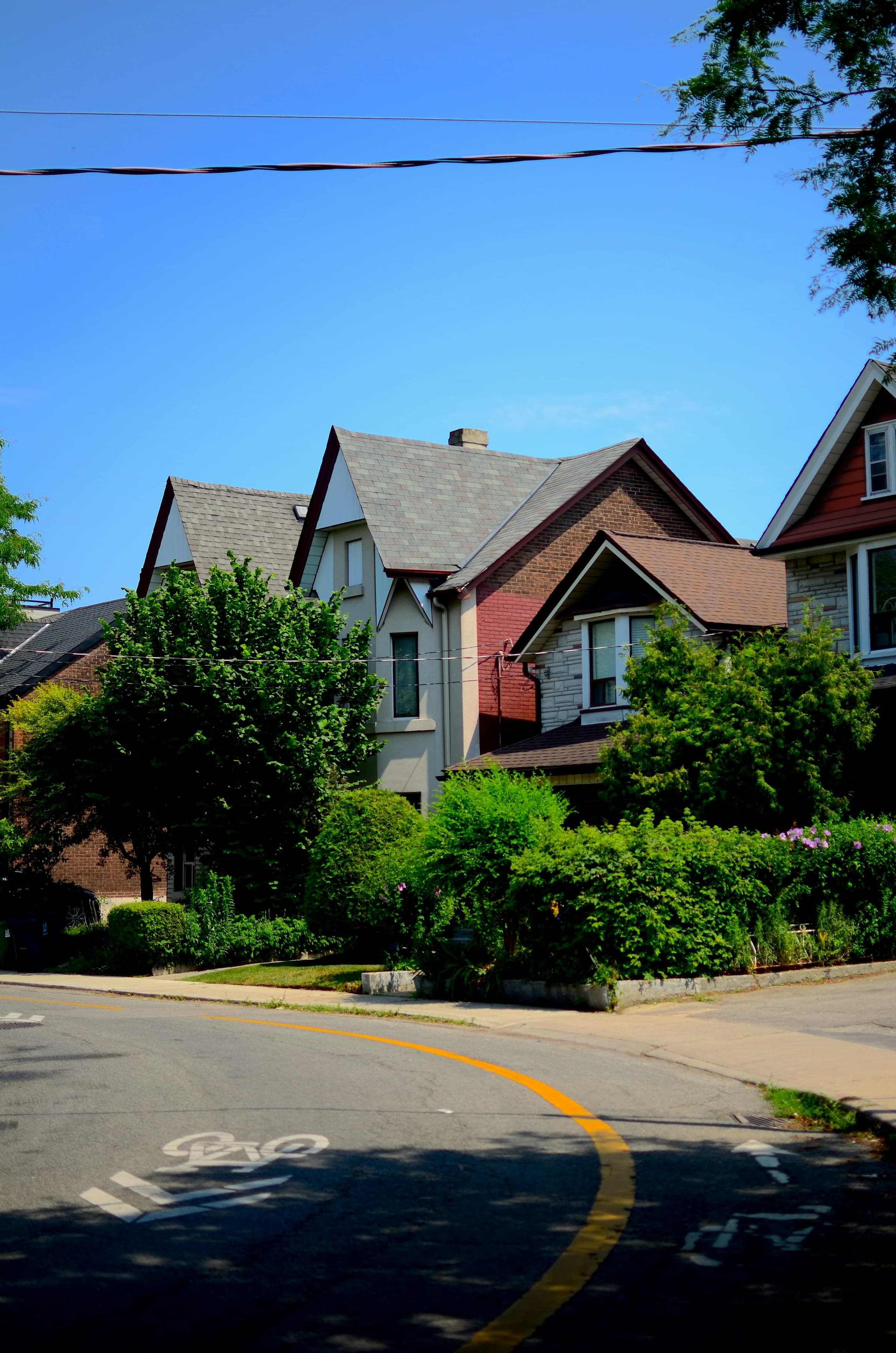 Tree-lined residential neighbourhood street